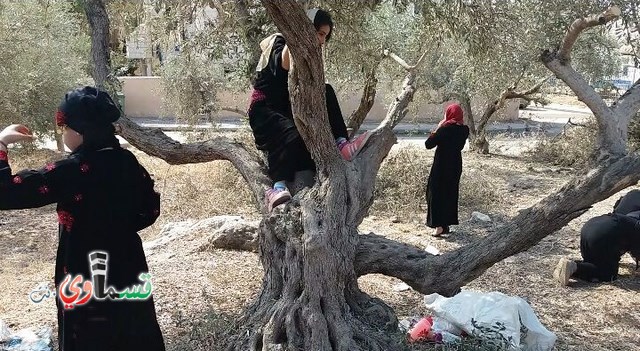 فيديو: طلاب وطالبات مدرسة جنة ابن رشد يُجسدون احداث مجزرة كفرقاسم على ارض الواقع من خلال فيلم وثائقي 